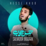 دانلود آهنگ سالوادور بیگ دارک حس خوب